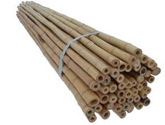 Опора бамбуковая 150 см 14-16 мм